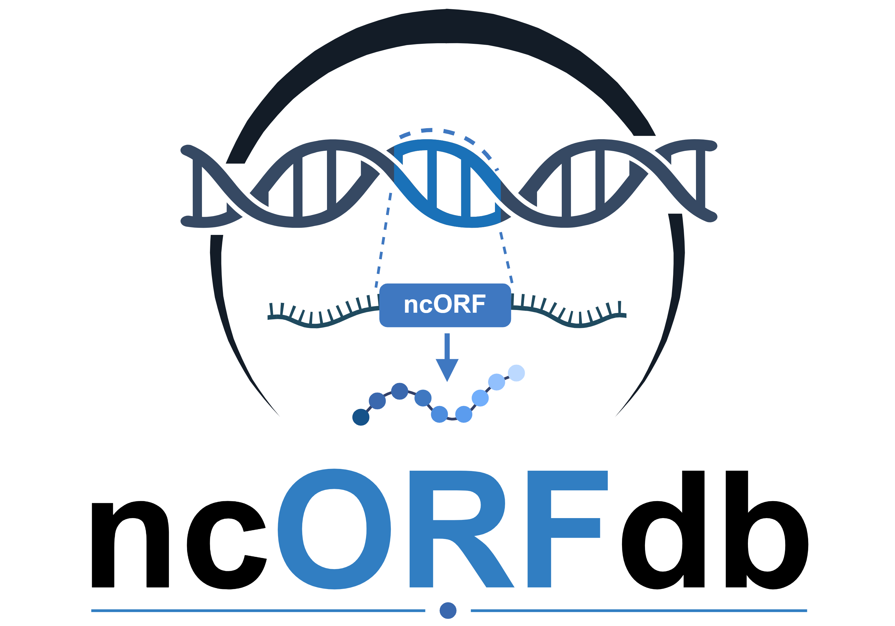 ncORFdb